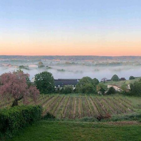 Maison Vue Panoramique Depuis Le Coteau De Chinon Zewnętrze zdjęcie