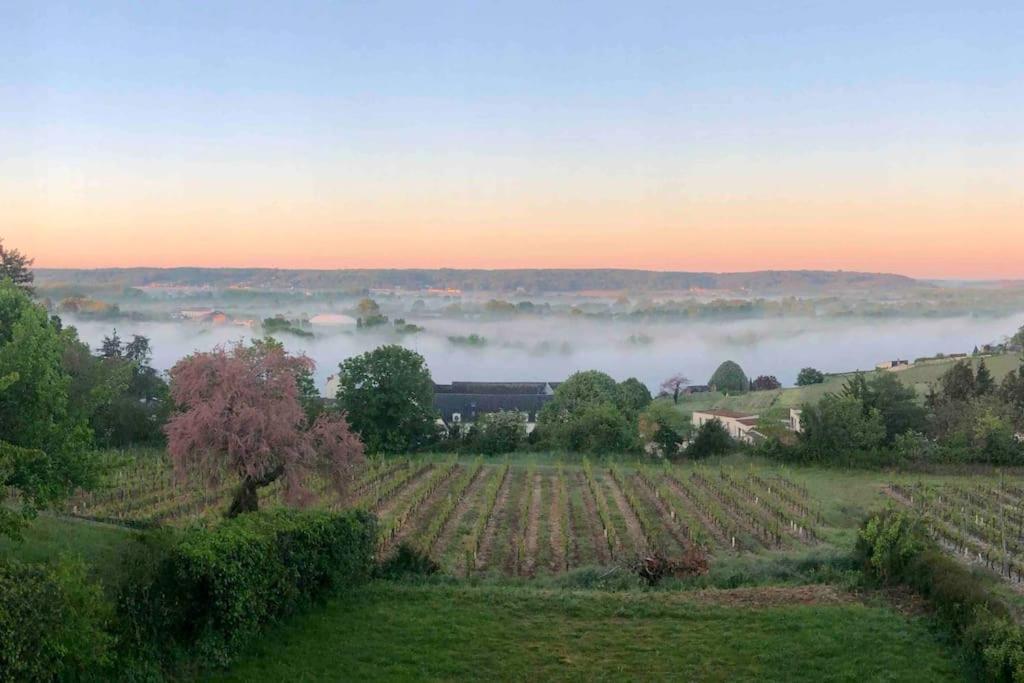Maison Vue Panoramique Depuis Le Coteau De Chinon Zewnętrze zdjęcie