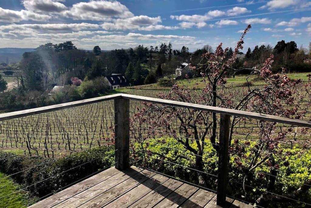Maison Vue Panoramique Depuis Le Coteau De Chinon Zewnętrze zdjęcie